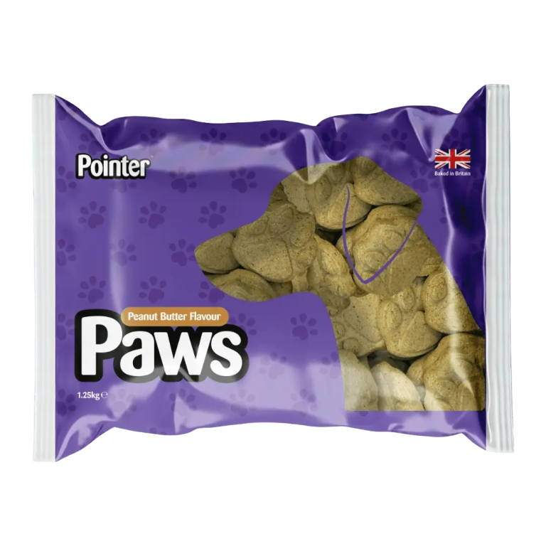 Home Main Main Image