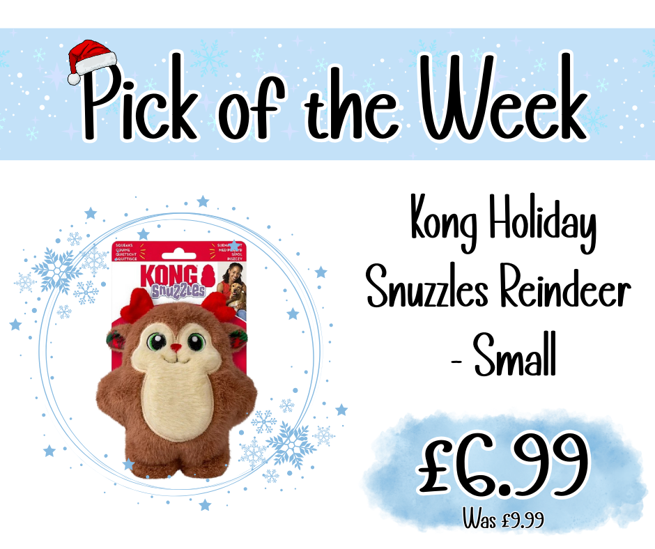 Home Main Main Image