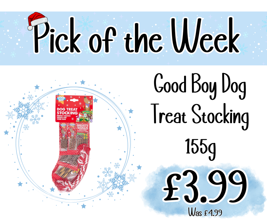 Home Main Main Image