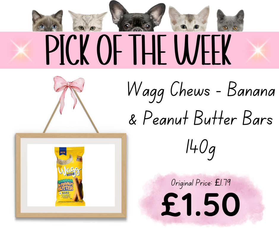 Home Main Main Image