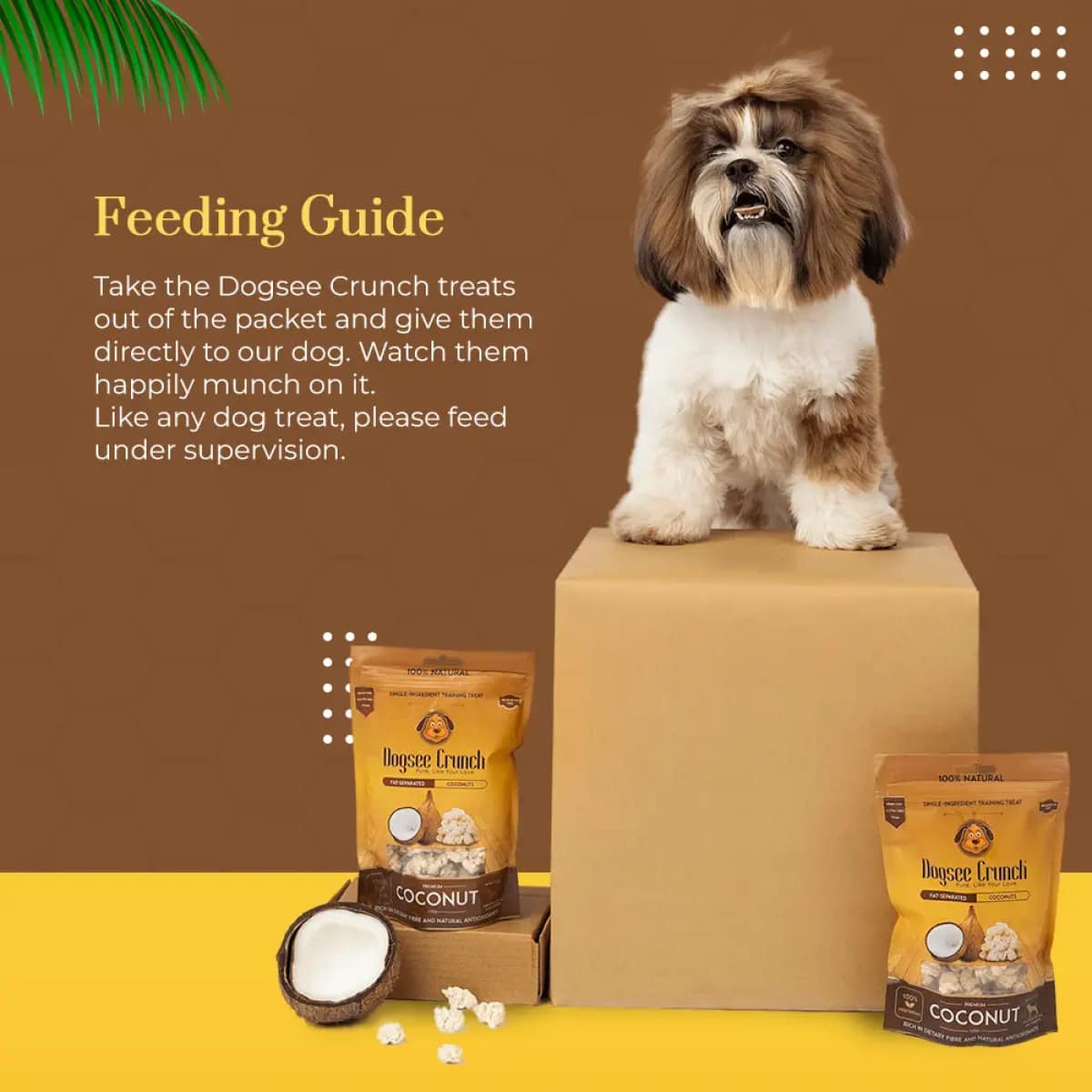 Dogsee Crunch Treats - Coconut 50g Main Image