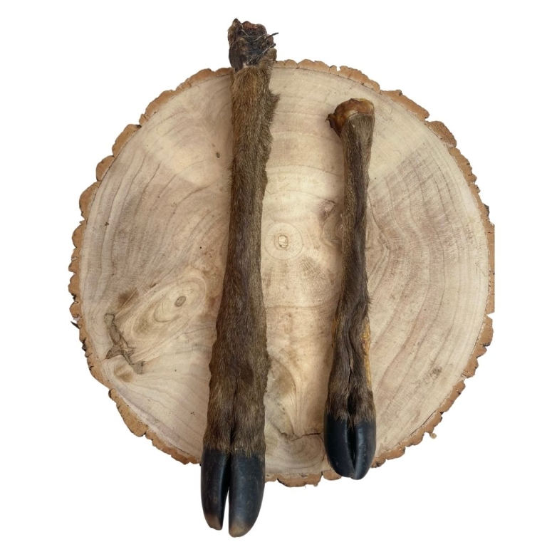 Home Main Main Image