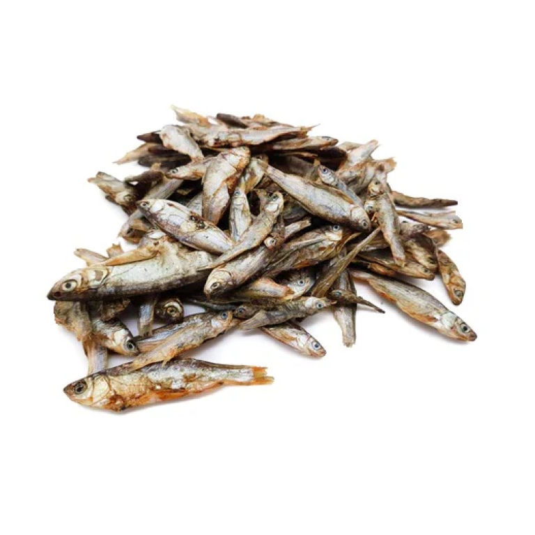 Home Main Main Image