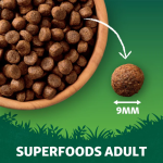 Harringtons Dry Dog Food 1.7kg - Super Foods Turkey - Image 4