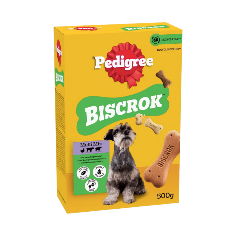 Home Main Main Image