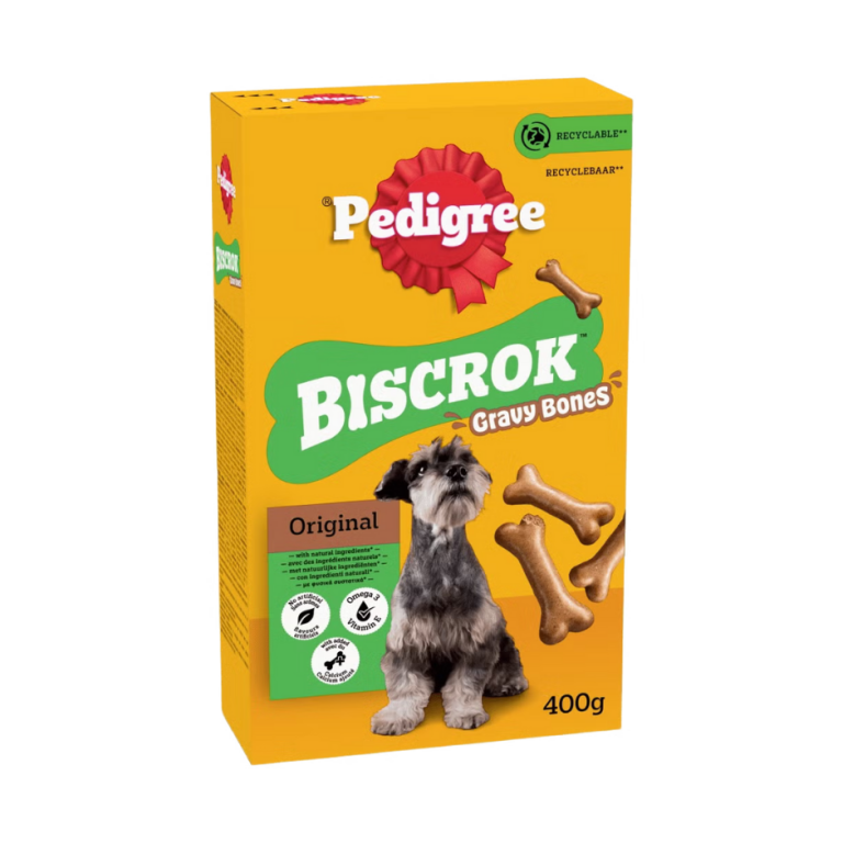 Home Main Main Image