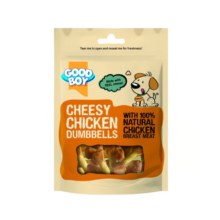 Home Main Main Image