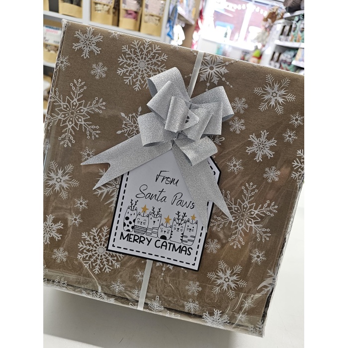 Christmas Cat Treat Gift Box - Silver Bow Main Image