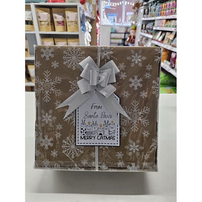 Christmas Cat Treat Gift Box - Silver Bow Main Image