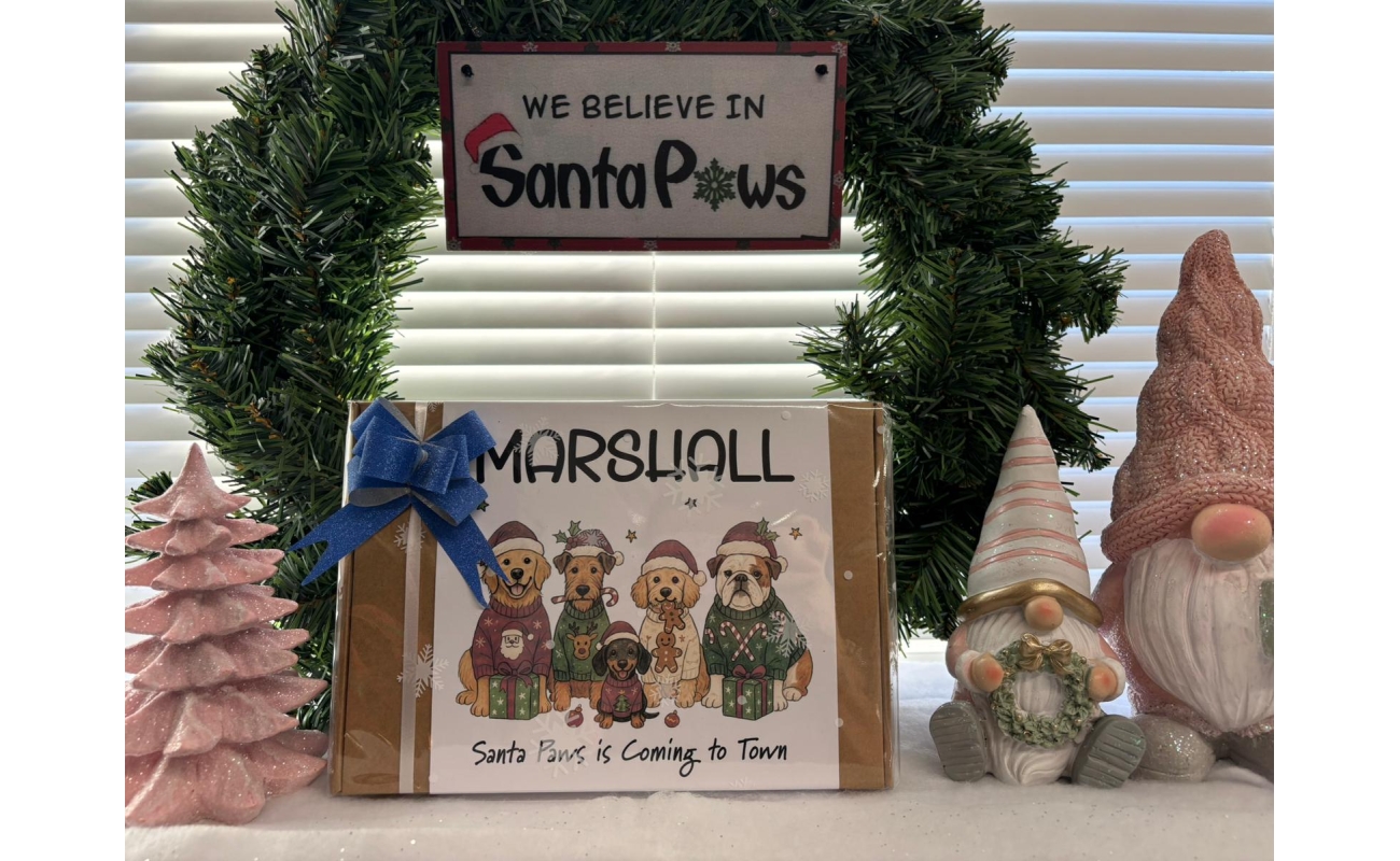 Reinterprets the classic bookshelf Main Image