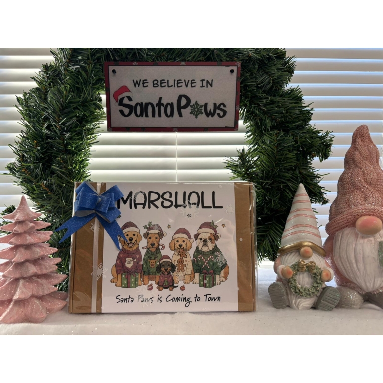 Home Main Main Image