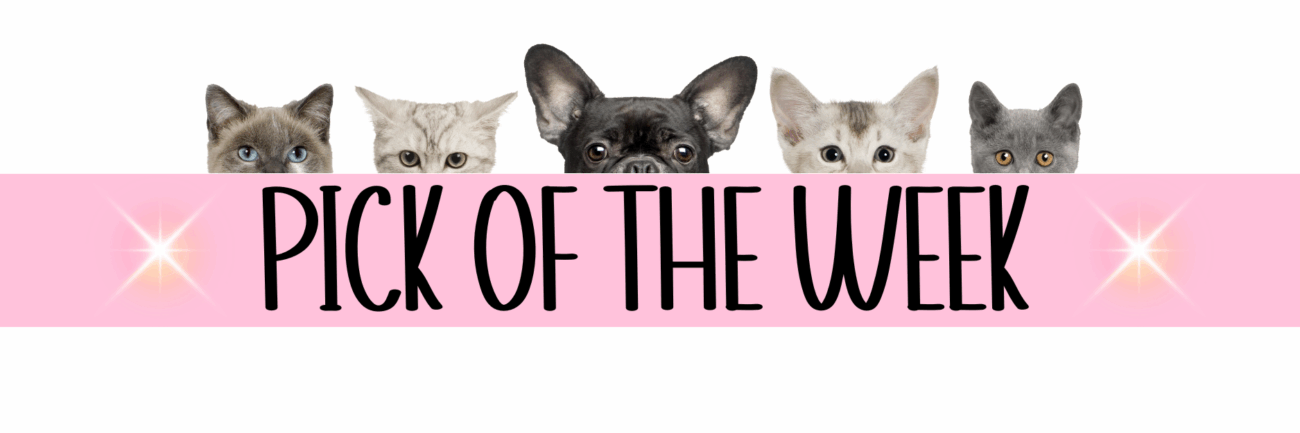 Home Main Main Image