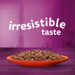 Whiskas Adult 1+ Meat in Gravy 80 x 85g - Image 2