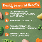 Harringtons Grain Free - Chicken with Potato & Vegetables 400g - Image 4