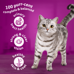 Whiskas Adult with Chicken 800g - Image 3