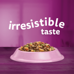 Whiskas Adult with Salmon 800g - Image 2