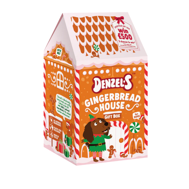 Home Main Main Image