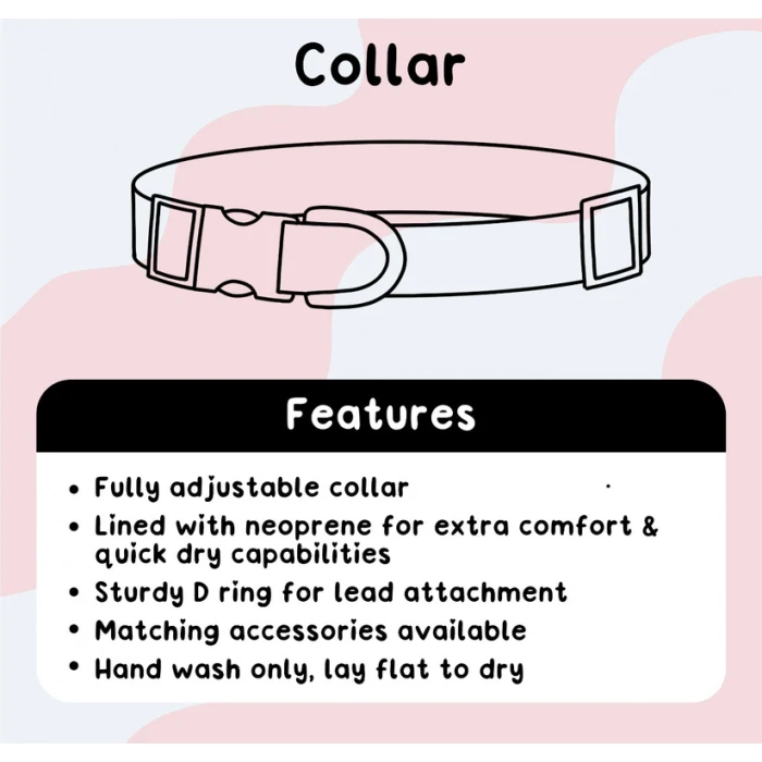 Hello Beenie Collar - Spellbound Main Image