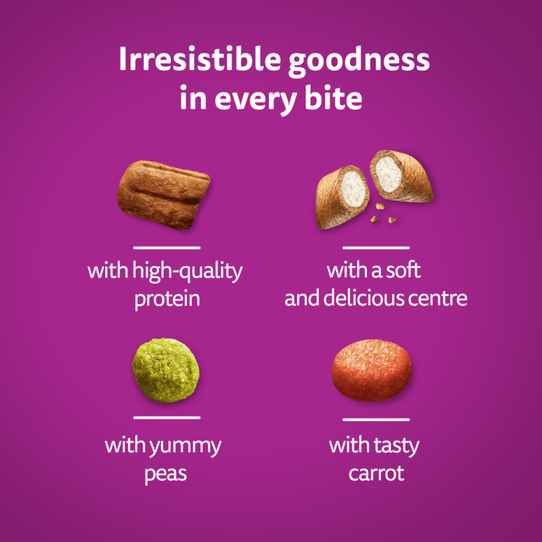 Home Main Main Image