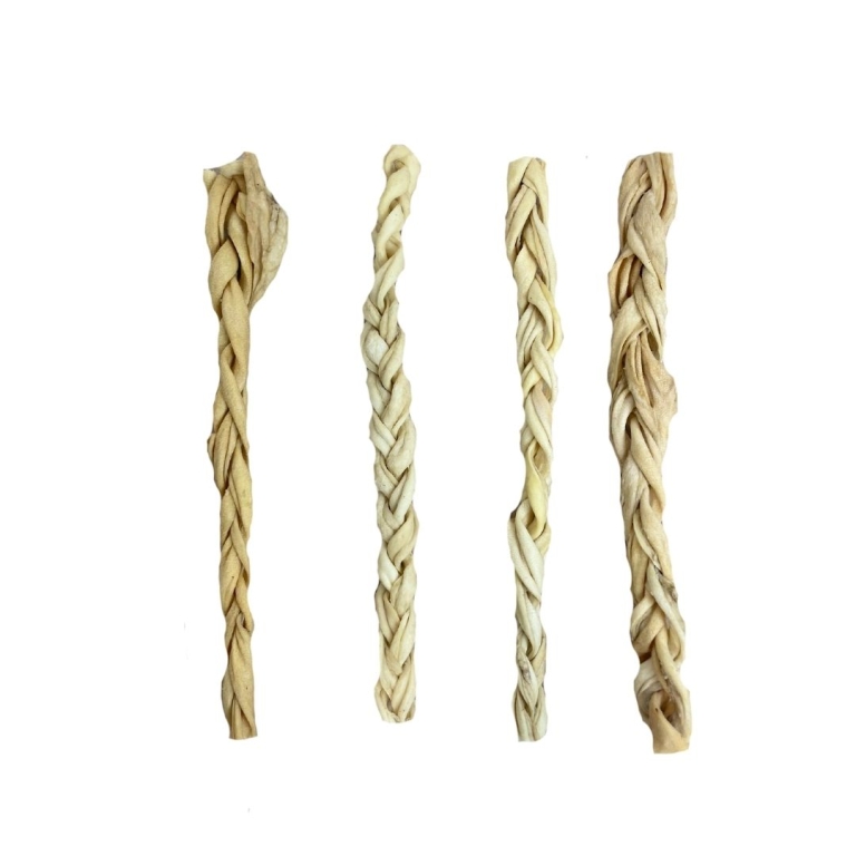 Home Main Main Image