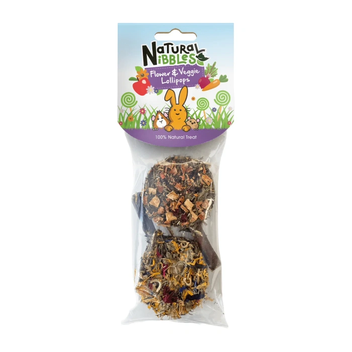 Natural Nibbles Flower & Veg Lollies 2pk Main Image