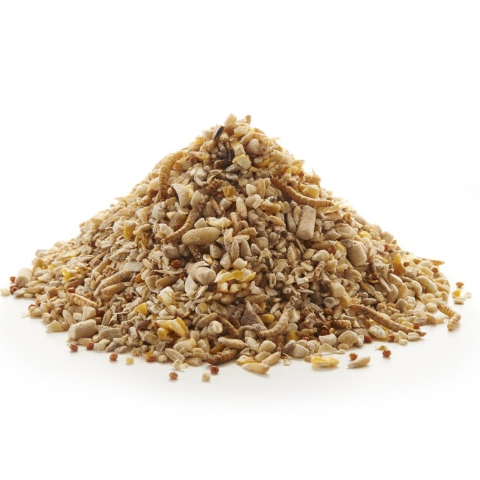 Peckish Robin Seed Mix 1kg Main Image