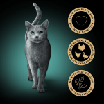 Sheba Fresh & Fine - Chicken, Turkey & Duck in Gravy 6 x 50g - Image 3